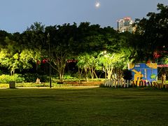 -青枫公园