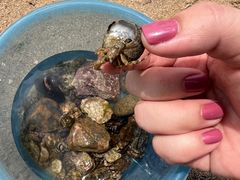 -东戴河风景区-止锚湾