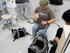 -老吴的猫·猫舍(新区店)