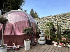 -紫藤园·天目湖大鱼头(南山竹海店)