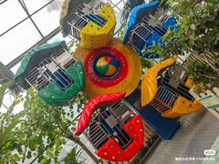 -南宫五洲植物乐园