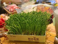 -湊湊火锅·茶憩(杭州湖滨银泰in77店)