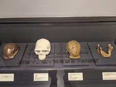 -北京周口店北京人遗址博物馆
