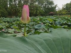 -大宁灵石公园西门票处