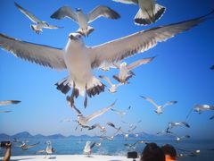 -海驴岛(荣成市)