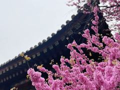 -西安市广仁寺