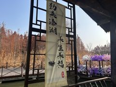 -溱湖国家湿地公园