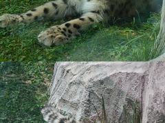 -青藏高原野生动物园