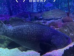 -沈阳海洋探索中心