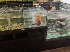 -黄山老妈·土菜(碧桂园店)