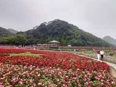 -广州市石门国家森林公园