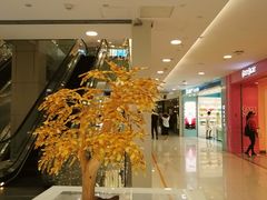 -凯德MALL(望京店)