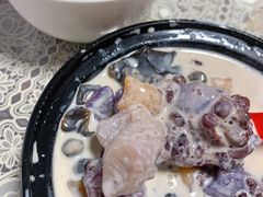 喵了个咪的芋圆-猫的魔法密林(衣裳街店)
