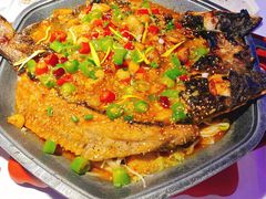 -马邦子·紫苏烤鱼(恒隆广场店)