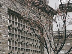 -广富林郊野公园