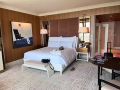 -拉斯维加斯永利酒店