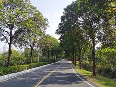 -广东花都湖国家湿地公园