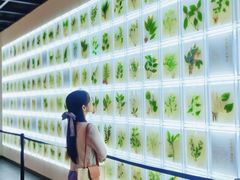 -广东中医药博物馆