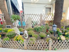 -翊宠yipet猫狗购宠庄园犬舍•猫舍