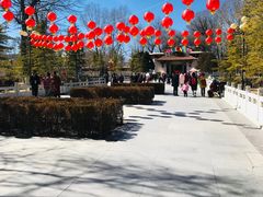 -罗布林卡