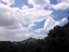 iphone_upload_pic-青龙山公园
