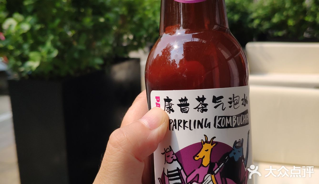 康普茶汽泡水新型自发酵气泡饮料