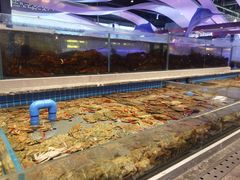 -一方渔歌蒸汽海鲜自助(文化路万达广场店)