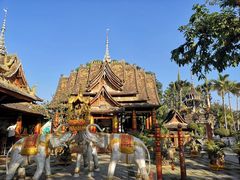 -西双版纳原始森林公园