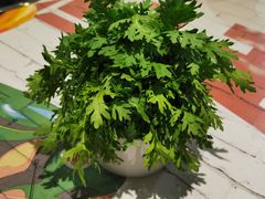 茼蒿-蜀都三哥火锅店(力盟商业步行街店)