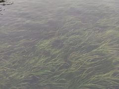 -杭州双溪漂流景区