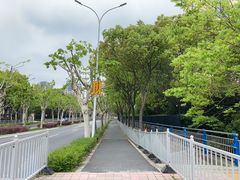 -柳州肥姨妈大骨螺蛳粉(东靖路店)