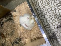 -上海大自然野生昆虫馆