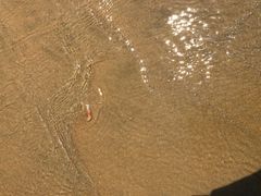 -日照海滨国家森林公园