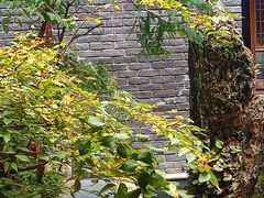 -毅祥斋老孙家泡馍(西羊市店)