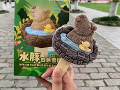 -上海野生动物园
