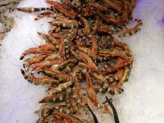 -鼎香缘海鲜自助火锅烤肉(锦辉购物广场店)