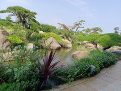 -罗红摄影艺术馆