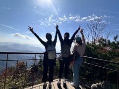 -王顺山国家森林公园