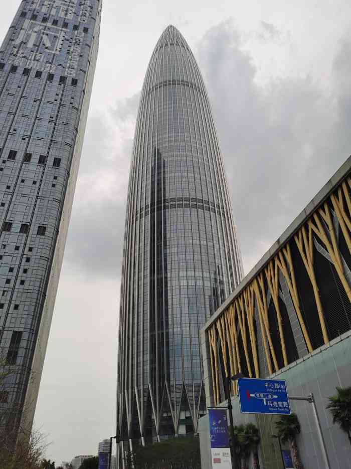 深圳南山大玉米特别耀眼璀璨与明月相映成辉