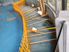 -黄龙溪欢乐田园