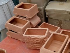 -龙大花卉苗木市场