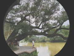 -上坦村