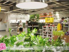 -宜家家居(哈尔滨商场店)