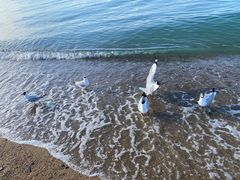 -青海湖二郎剑景区