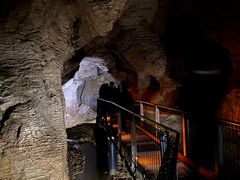 -怀托摩萤火虫洞