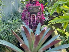 -国家植物园南园