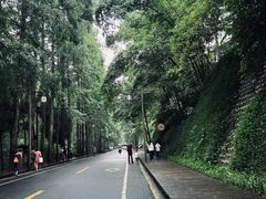 -青城山