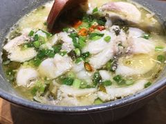 -汤去三面(骆驼店)
