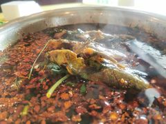 -胖大姐黄辣丁鱼庄(新津店)