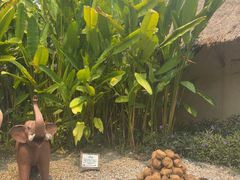 -大象粑粑造纸公园